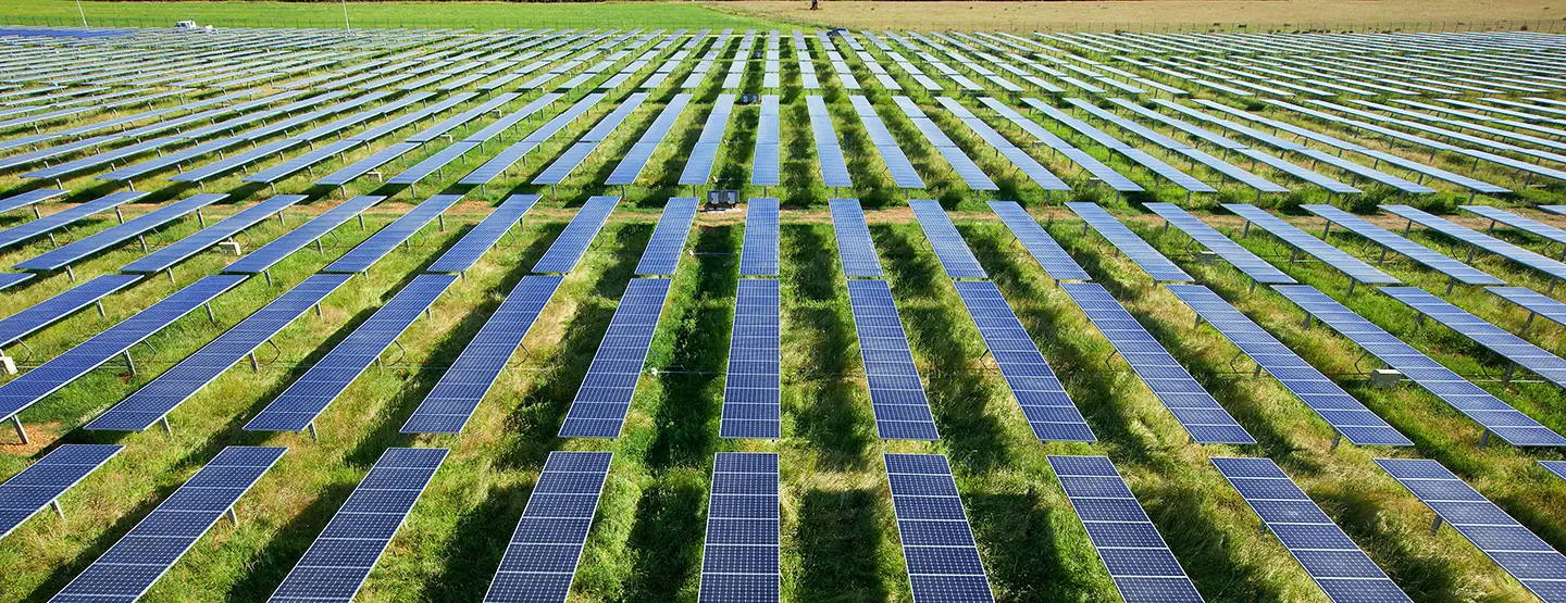 Reihen aufgeständerter Solarmodule über einer begrünten Fläche